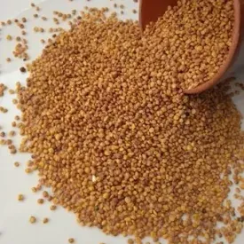 Жмых горчицы