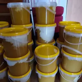 Мед лесной, вересковый или гречишный