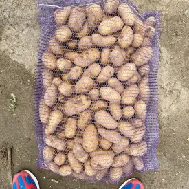 Картофель
