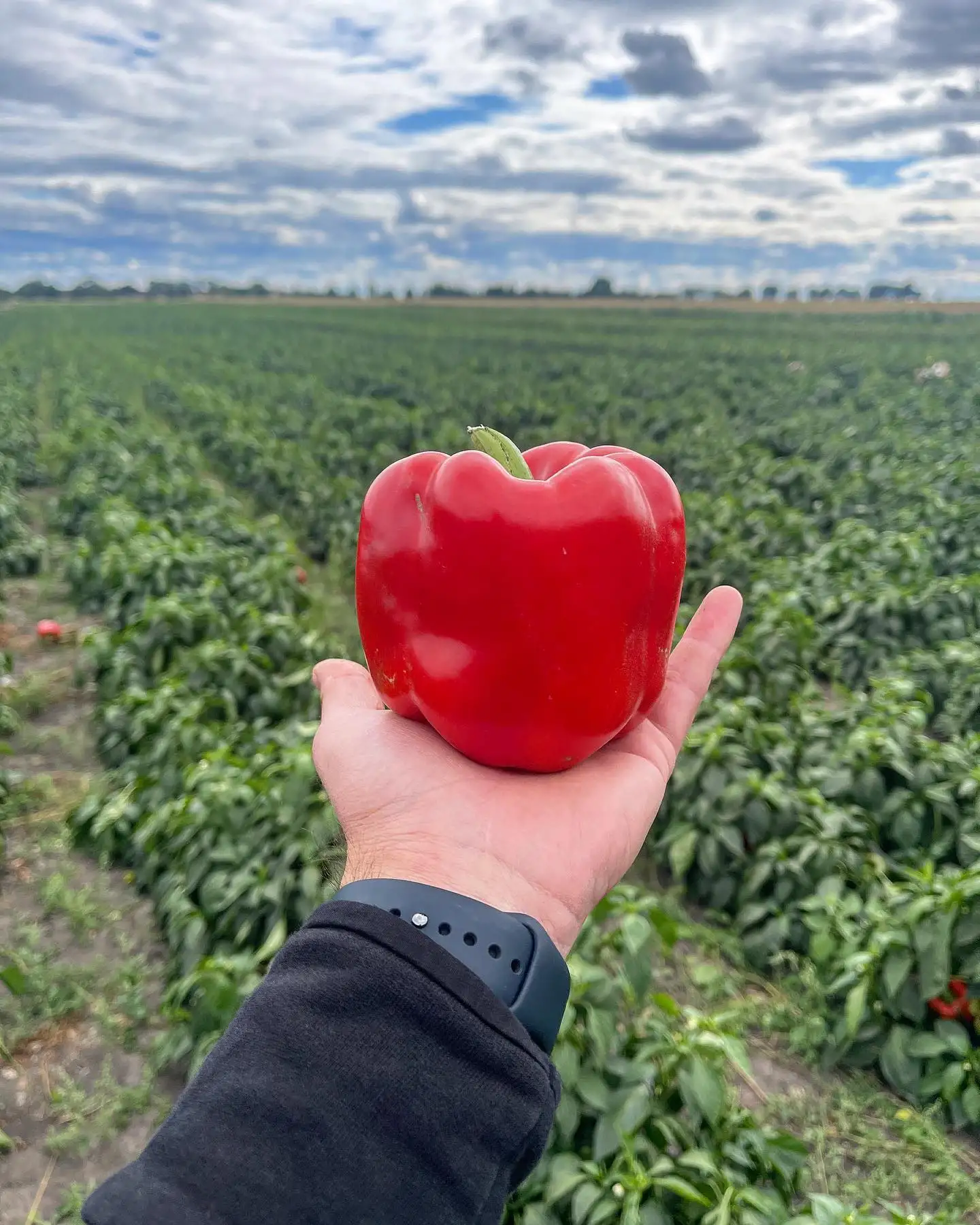 Thumb 1
