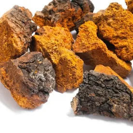 Специя "Чага", 20 гр.