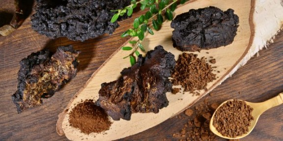 Специя "Чага", 20 гр. фото 2