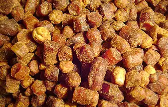 Перга (пчелиный хлебушек) фото 2