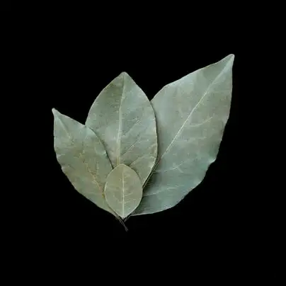 Лавровый лист, целый