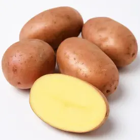 Картофель «Вектор"