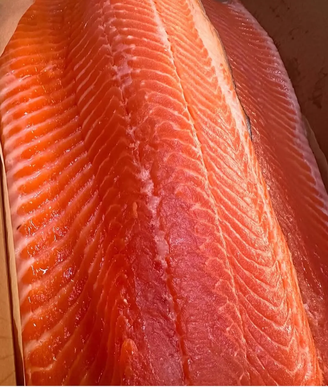 Форель слабосоленая