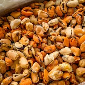 Мидии (мясо)