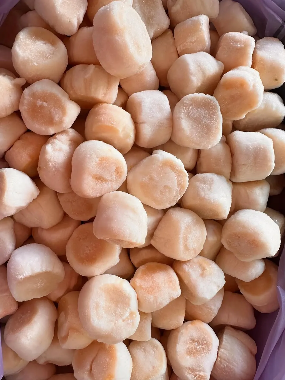 Гребешки Дальневосточные