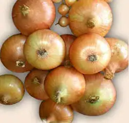 Лук «Ветразь» (на перо)