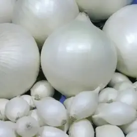 Лук «Стардаст» (на перо)