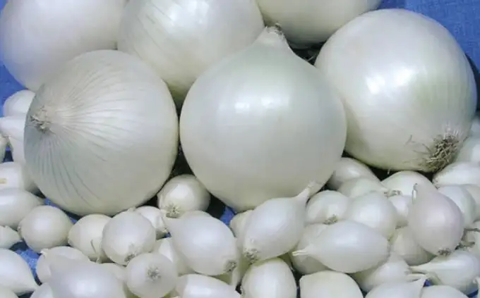 Лук «Стардаст» (на перо)