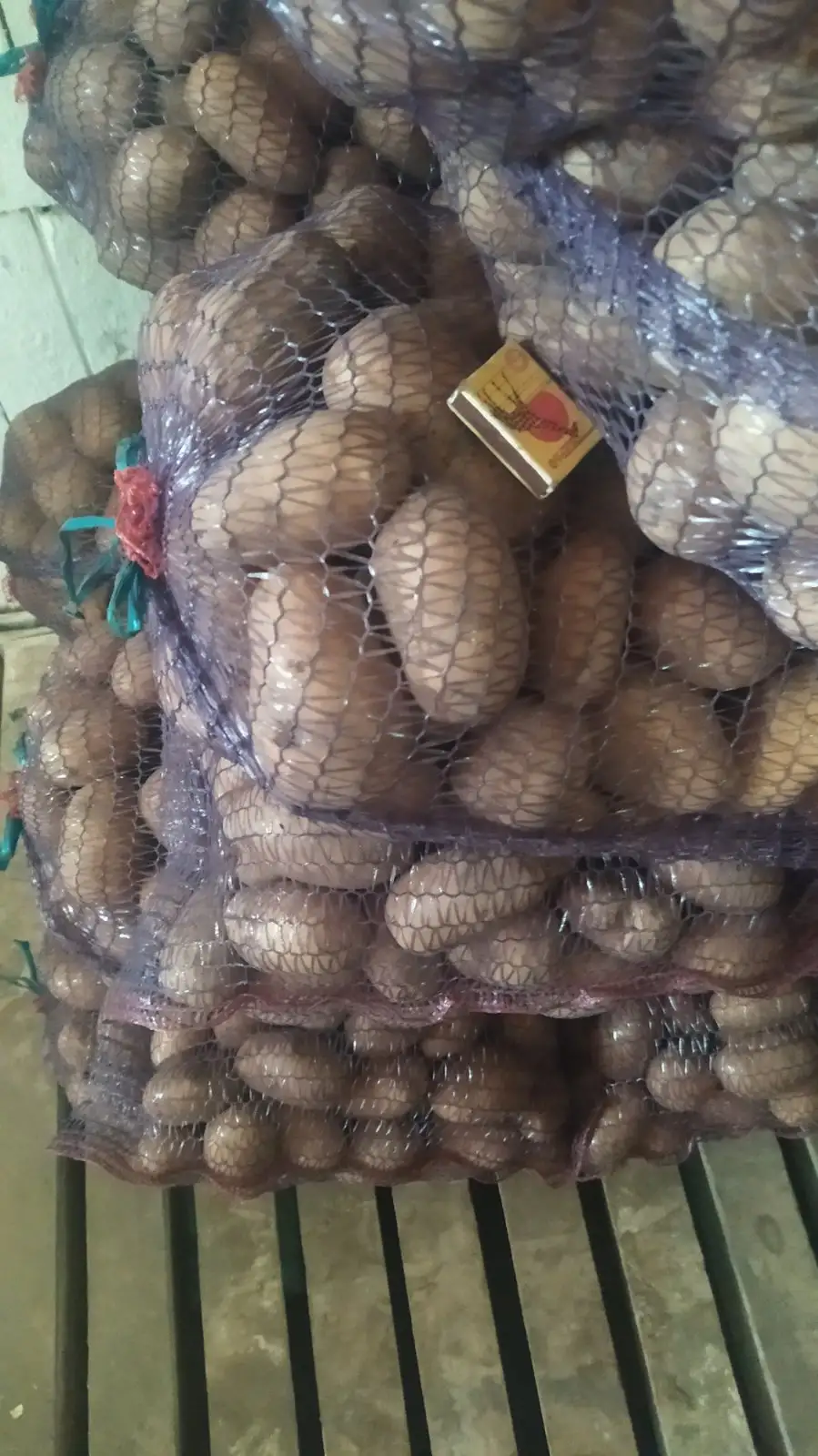 Картофель «Гала" фото 3