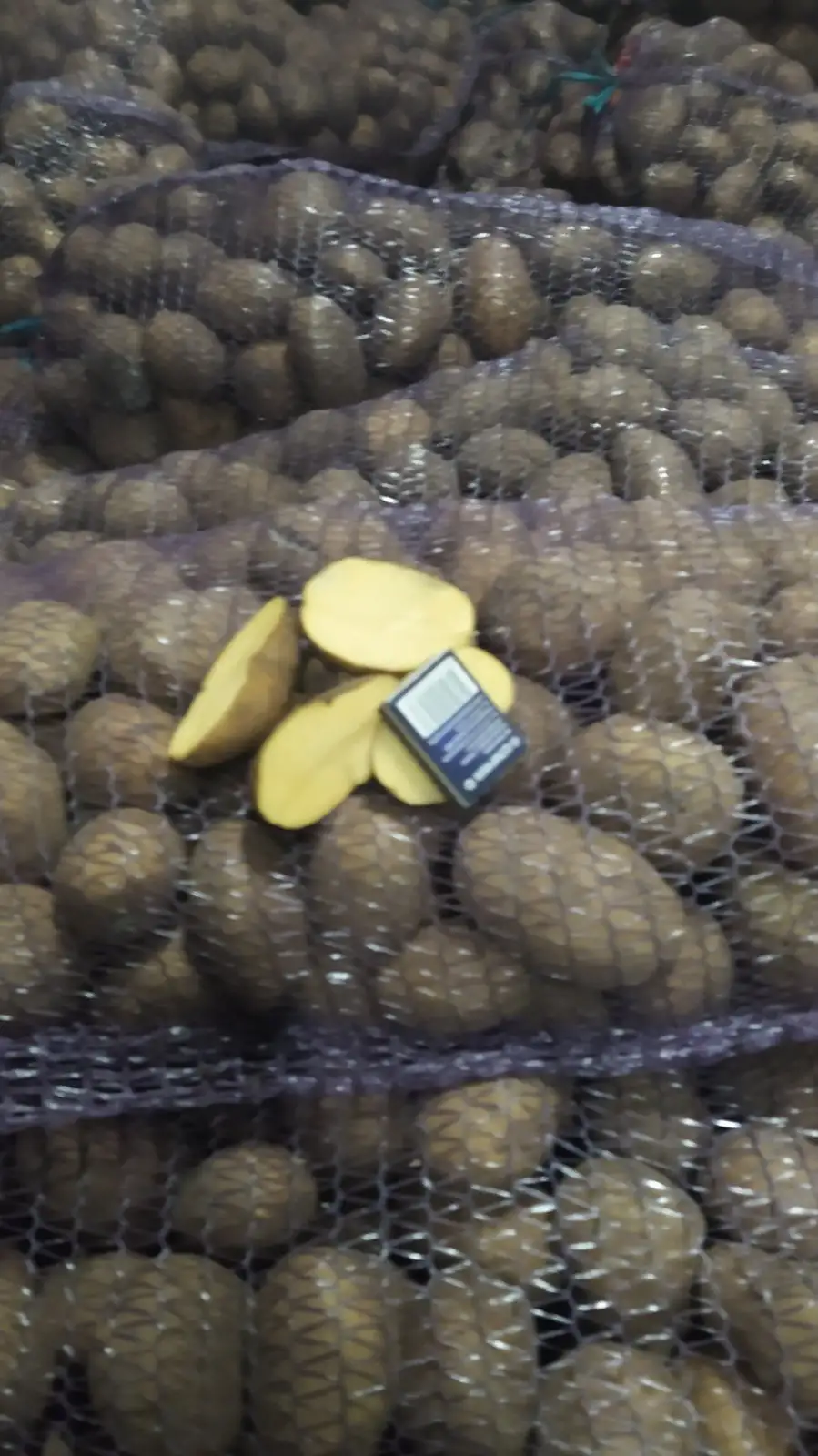 Картофель «Гала" фото 2