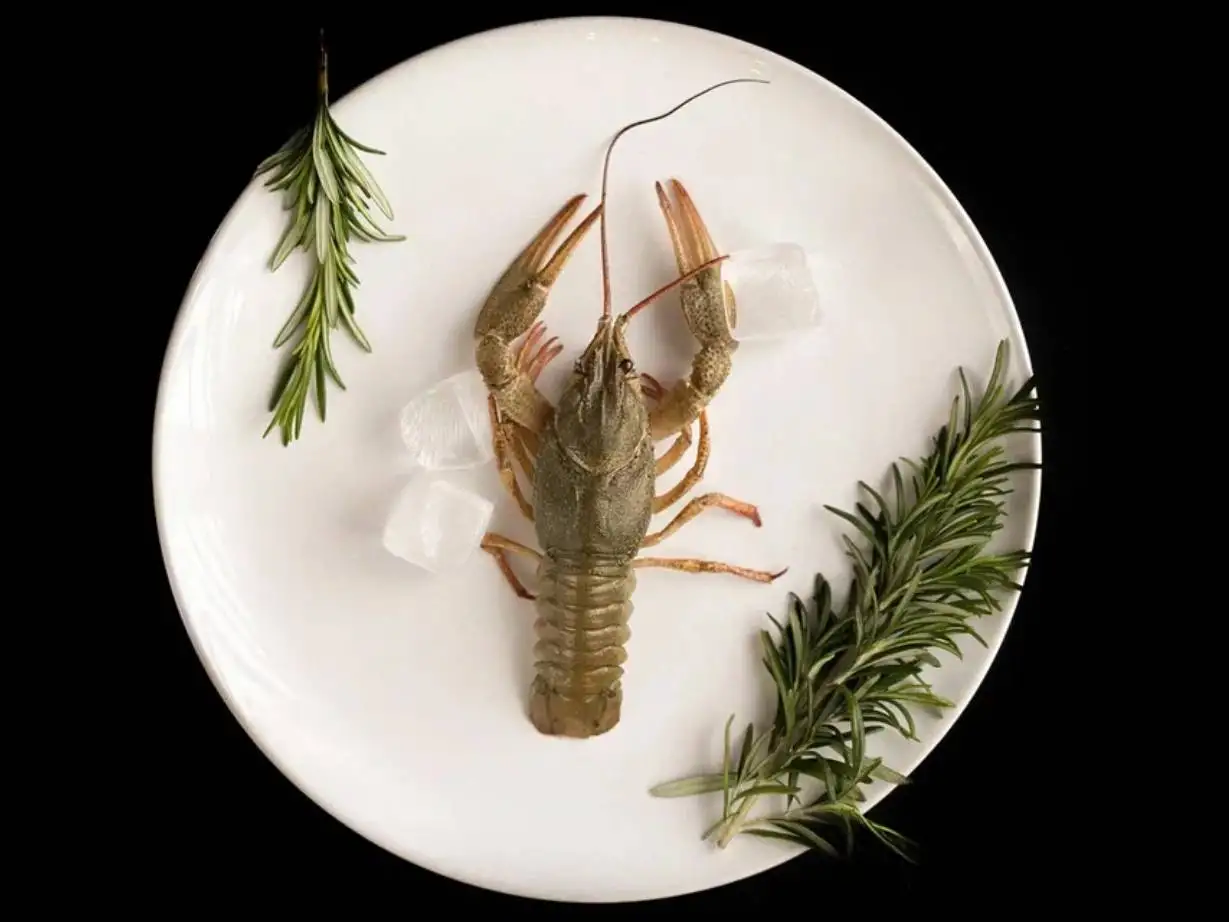 Рак крупный 60-80 г, вареный