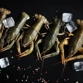 Рак мелкий, 20-40 г, вареный