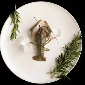 Рак средний, 40-60 г