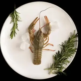 Рак крупный, 60-80 г