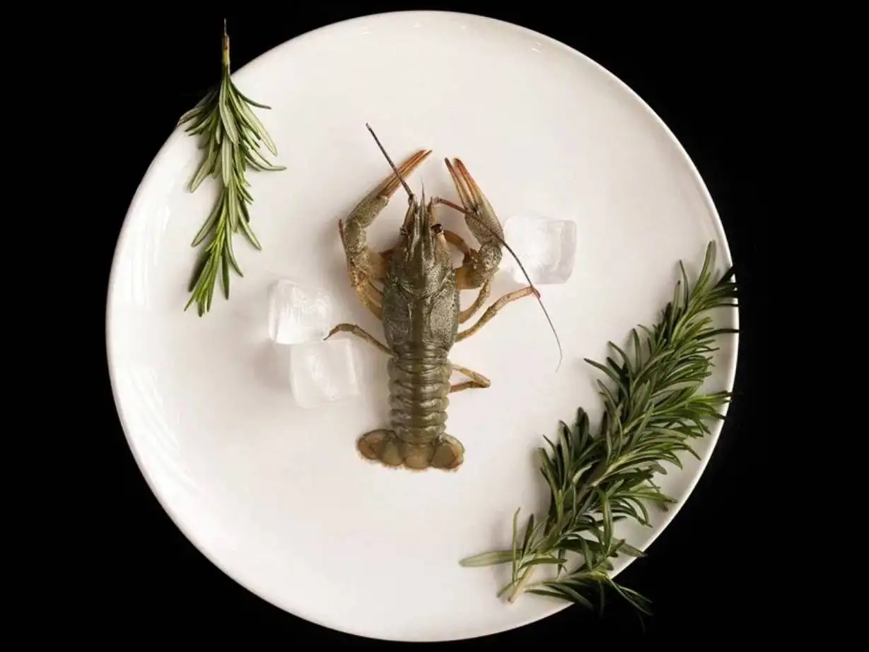 Рак средний 40-60 г, вареный