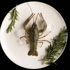 Рак отборный, 80-100 г