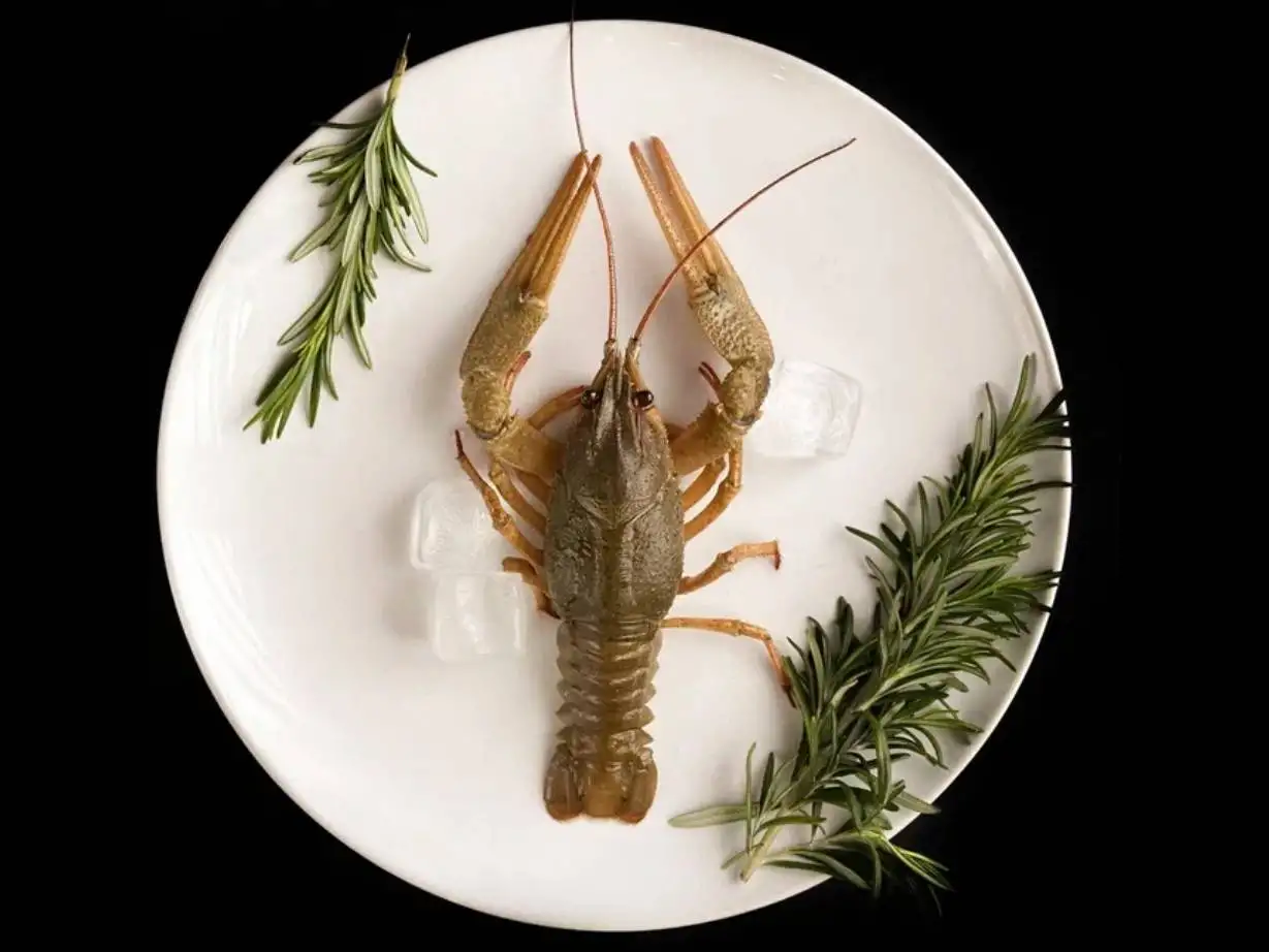 Рак королевский, от 100+ г