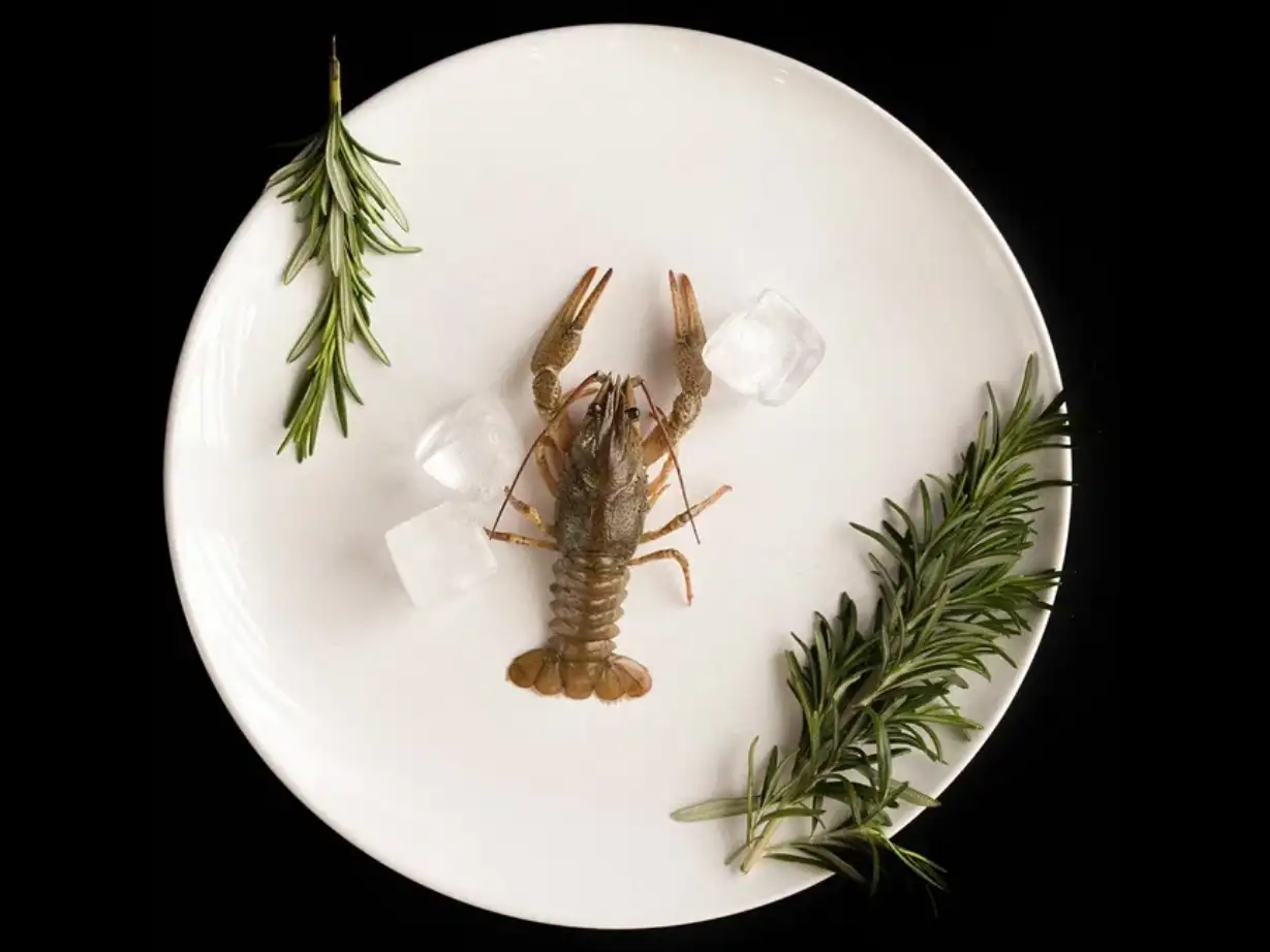 Рак мелкий, 20-40 г фото 1