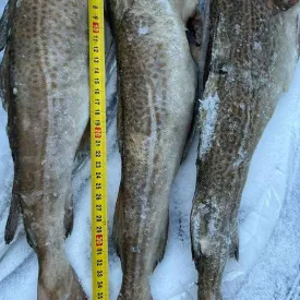 Треска, 1кг.