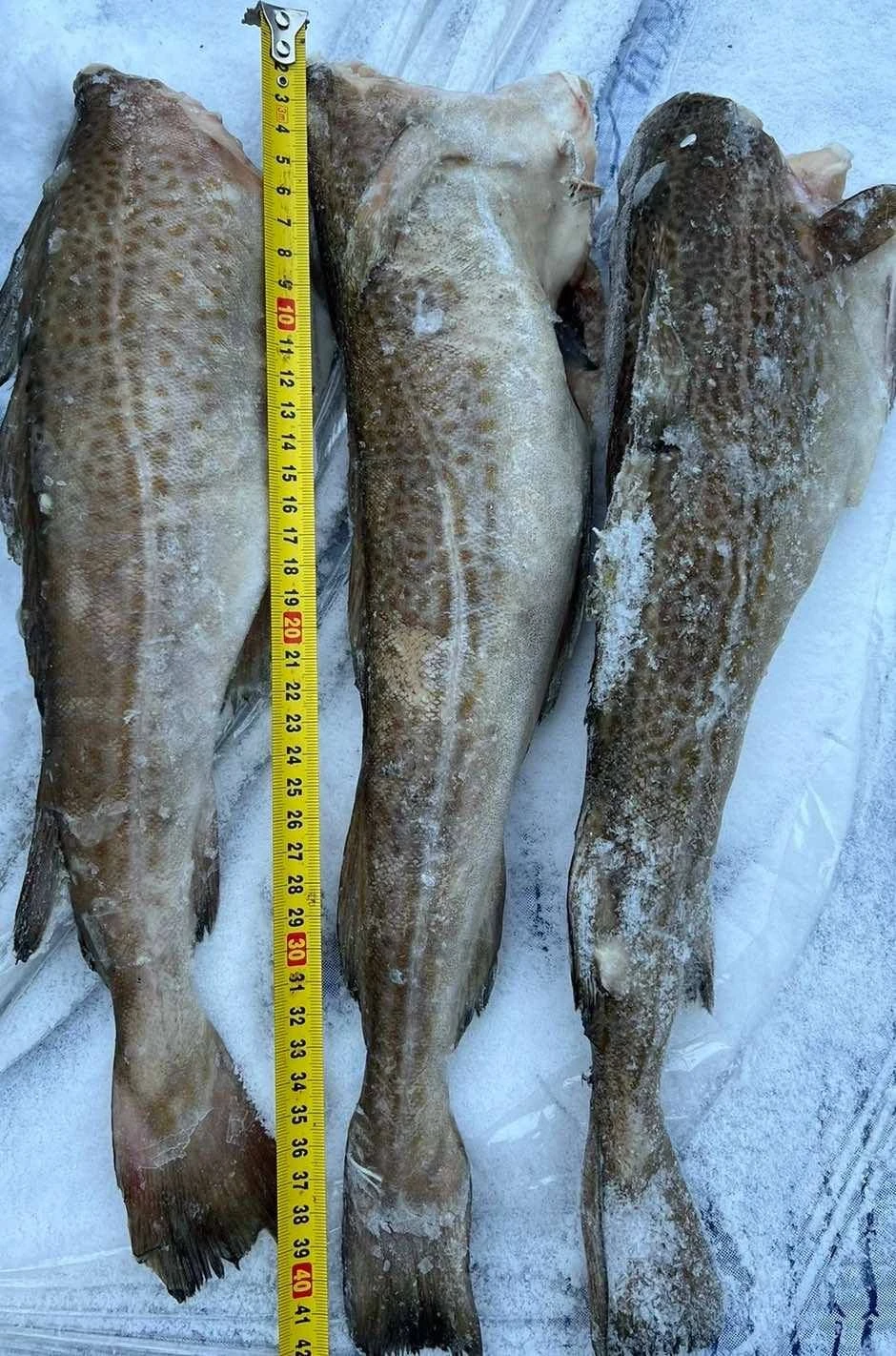 Треска, 1кг.