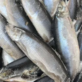 Сельдь, 1кг.