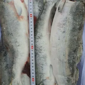 Горбуша, 1кг.