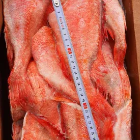 Окунь морской, 1кг.