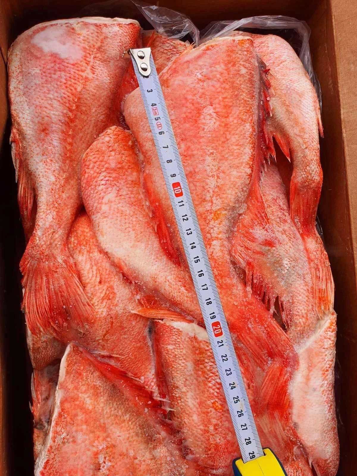 Окунь морской, 1кг.