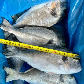 Дорадо, 1кг.