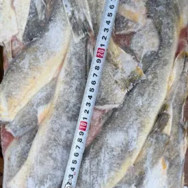 Навага, 1кг.