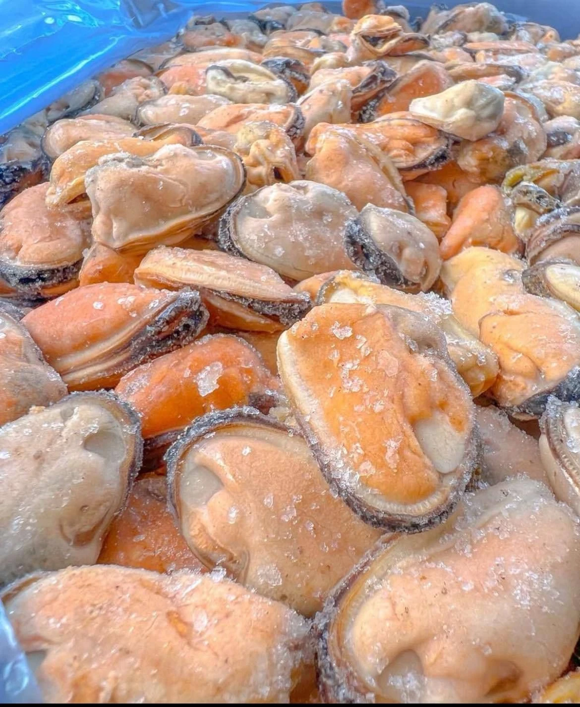 Мясо мидии, 1кг.