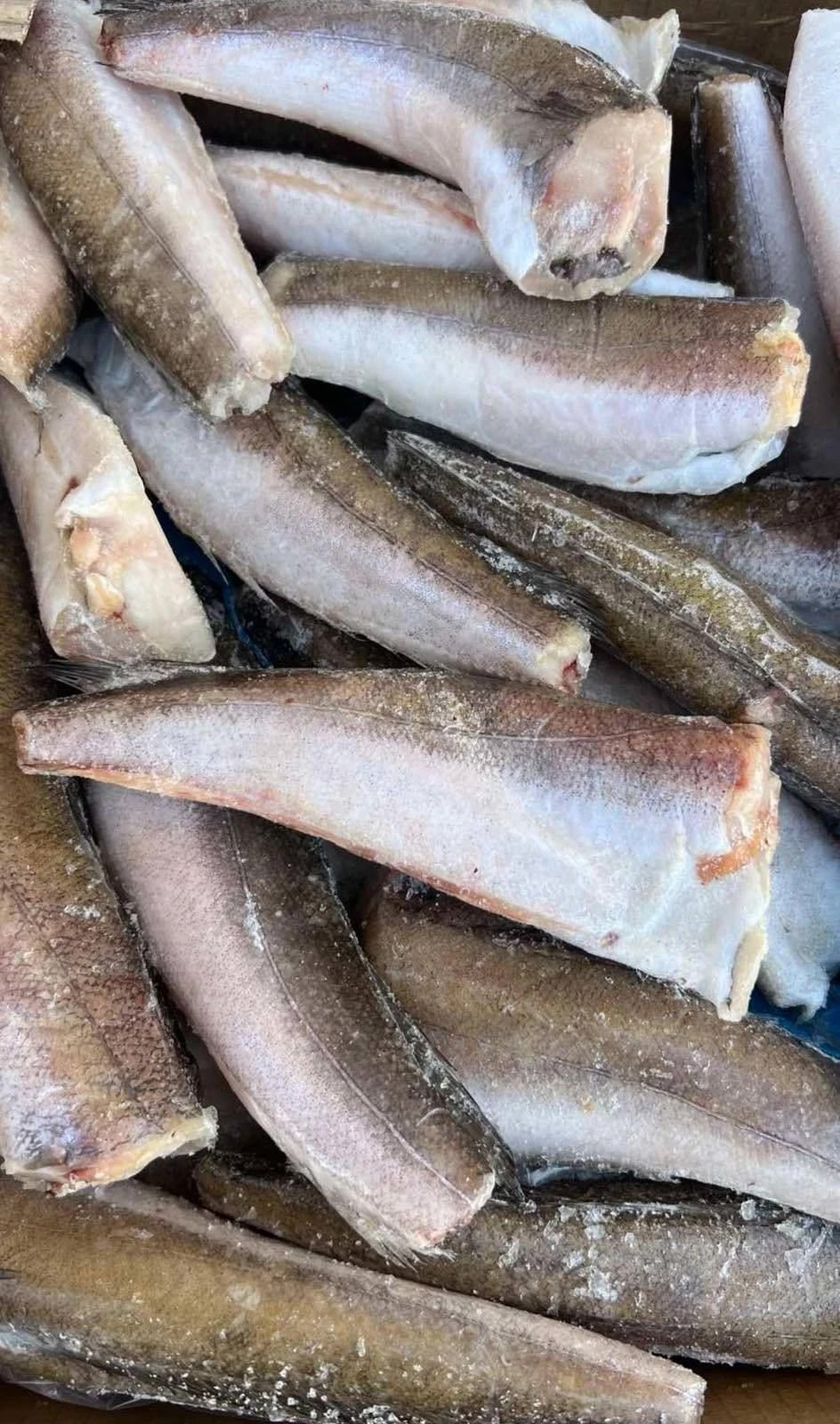 Хек тушка, 1кг.