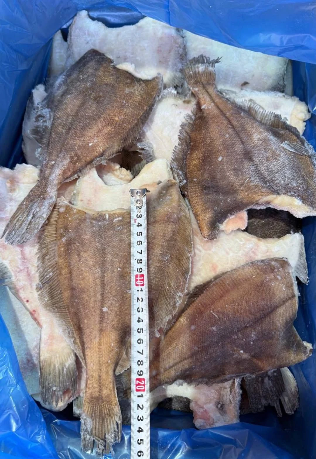 Камбала Ёрш, 1кг.