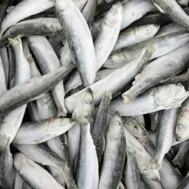 Салака, 1кг.