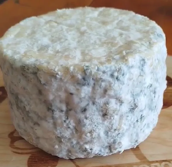 Козий мягкий сыр с голубой плесенью фото 2