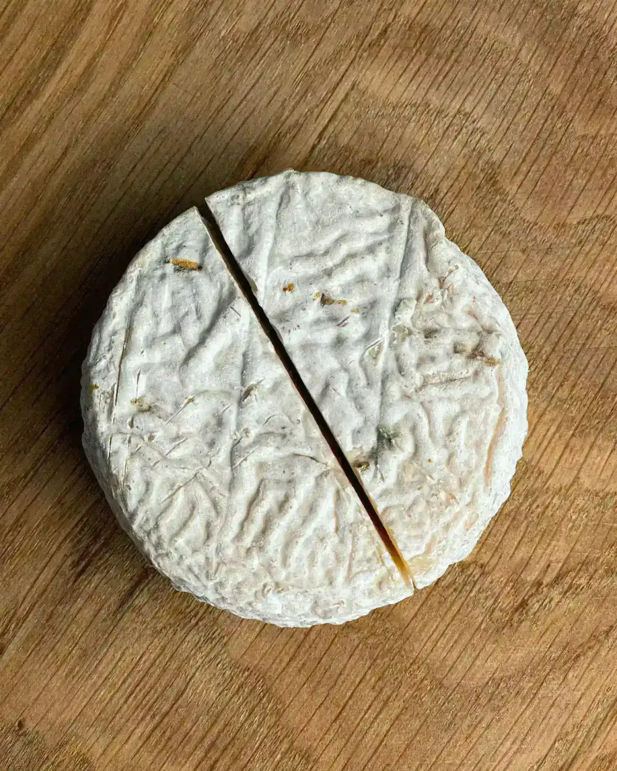 Козий мягкий сыр с белой плесенью фото 2