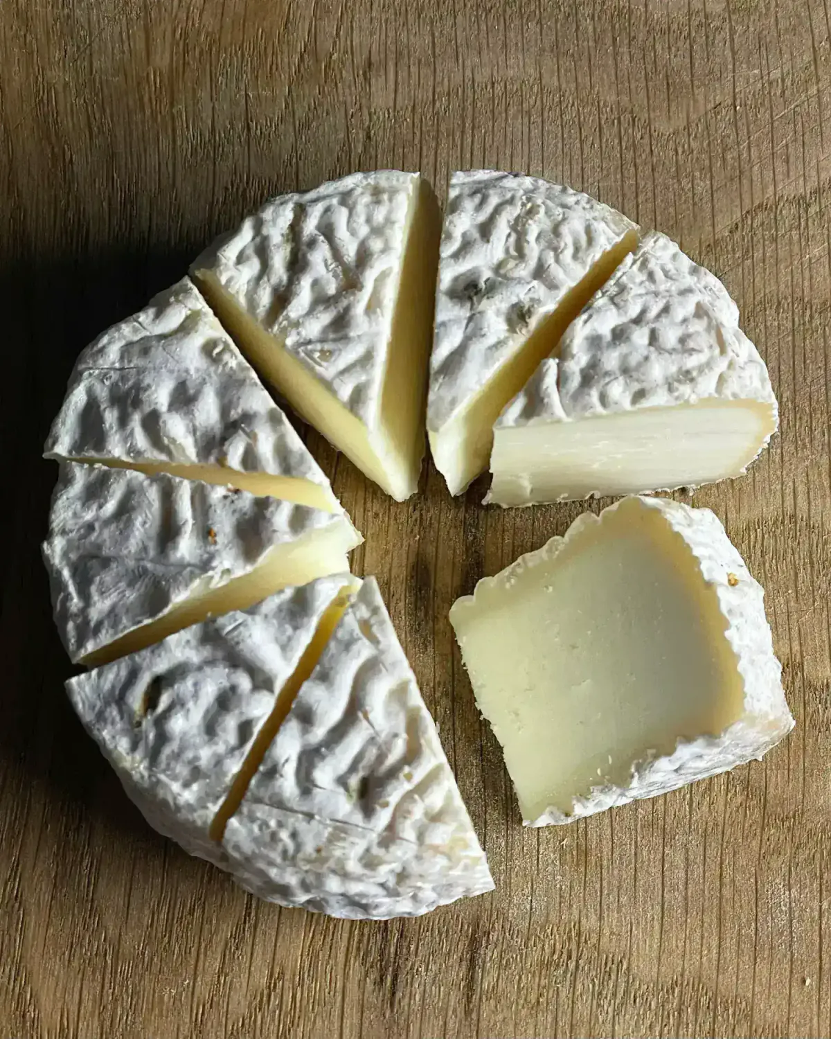 Козий мягкий сыр с белой плесенью фото 1