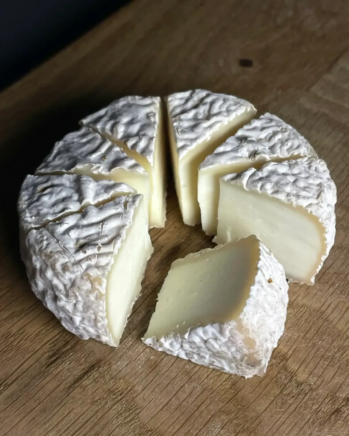 Козий мягкий сыр с белой плесенью фото 4