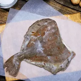 Камбала средняя, 500+ , б/г