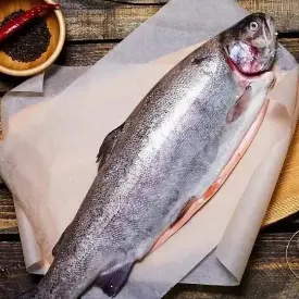 Форель охлажденная, потрошеная, с головой, 4-5 кг