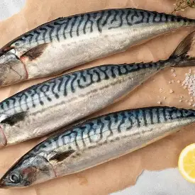 Скумбрия, 400-600