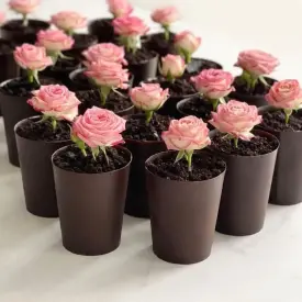 Десерт «Мамин цветок»