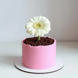 Мини-тортики с цветочком