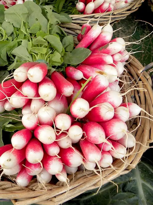 Семена редиса (Французский завтрак) фото 2