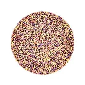 Семена для микрозелени и проростков клевера