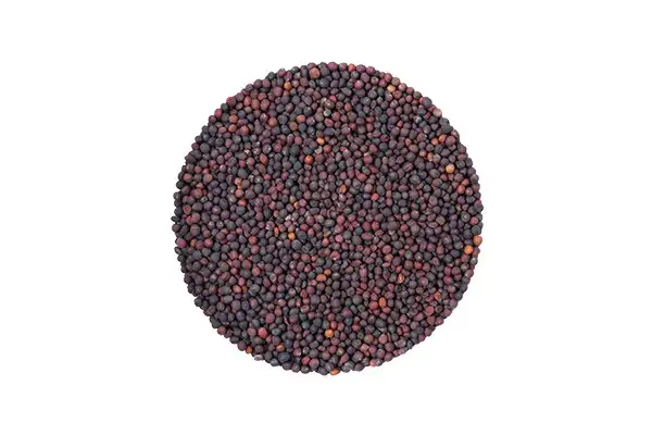 Семена капусты кольраби (фиолетовая) фото 2