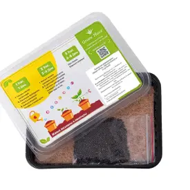 Набор для выращивания микрозелени «Красная капуста»